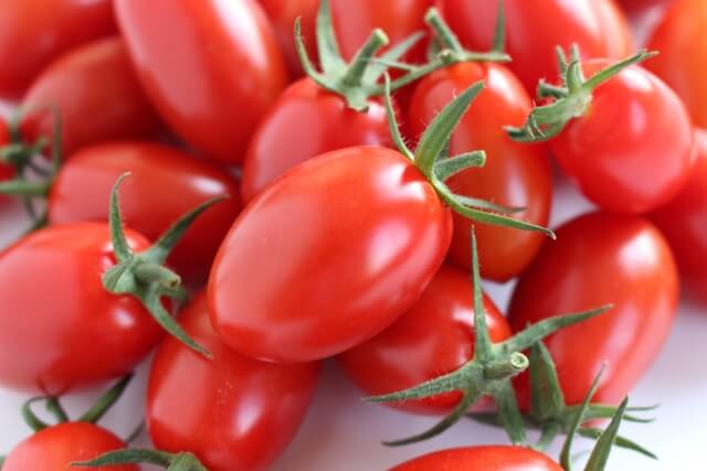 ミニトマト アイコ の特徴と育て方 家庭菜園にも超おすすめ もこっとおにぎり